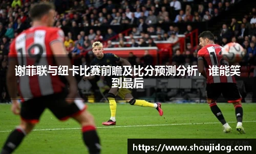 谢菲联与纽卡比赛前瞻及比分预测分析，谁能笑到最后